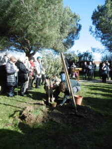 À Tarbes, un arbre symbole de la fraternité