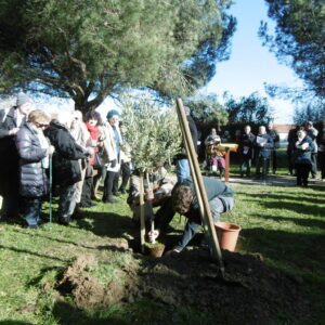 À Tarbes, un arbre symbole de la fraternité